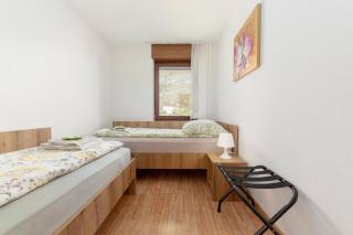 Peaceful Apartment with Terrace near Lake Bled & Free Parking - 5