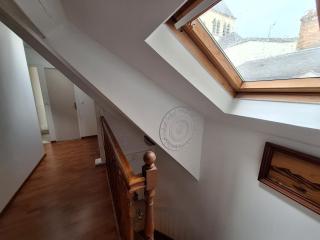 Cocon dans l'artère du centre-ville - 3