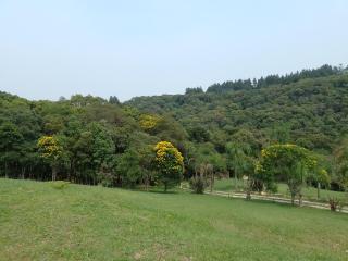 Chalé do Bosque - 3