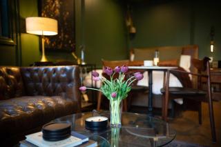 NEW Slytherin Studio - Dogs OK - 5