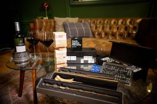 NEW Slytherin Studio - Dogs OK - 3