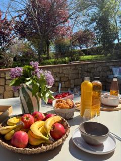 Domaine des Acacias - 8