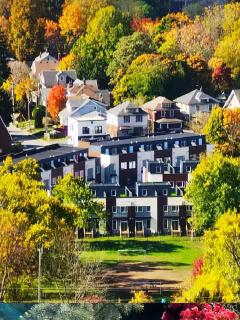 Two Adjacent 4 Bedroom Townhouse Units in the Fallsview District Walk to the Falls - 8
