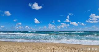 Yoo BG 1BR appartment - 2