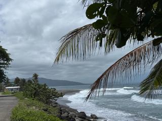Portland Jamaica! Green and Lush! Volcano and Falls Yes! - 7
