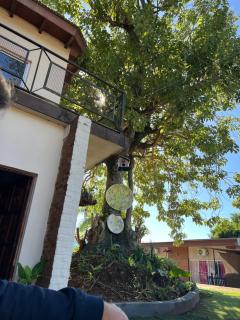 Cabaña 3 del Puerto Gol - 9