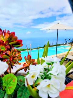 Madeira Native Motion Guest House - 2
