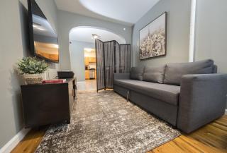 2BR APT near Mount Sinai & Metropolitan Hospitals - 4