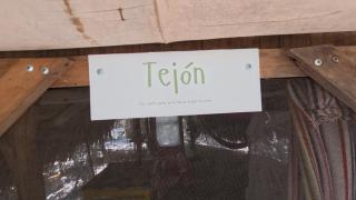 Cabaña Tejon - Casa Corazon Mazunte - 2