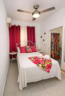 The blue pelican - 3