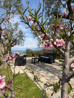LOREN HOUSE, relaxing location with seaview - 2