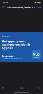 Bel appartement atypique quartier St Cyprien - 9