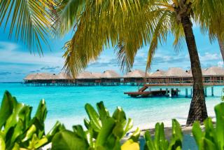 Sofitel Kia Ora Moorea Beach Resort - 1