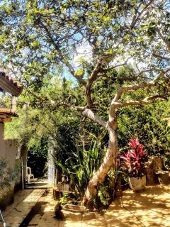 Casa aconchegante - 6