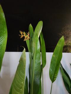 The Bunker StudioStay - 7