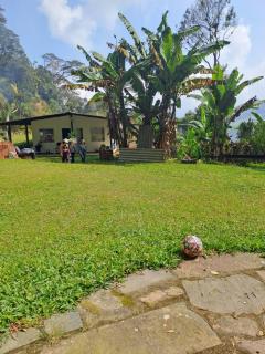 Refugio en la naturaleza - 6