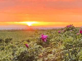 6 person holiday home in Sjællands Odde-By Traum - 7