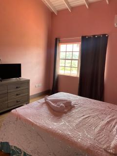 Tenico Paradise Point - 5