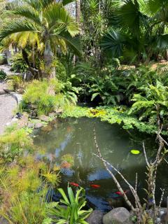 Le petit Nénuphar - 7