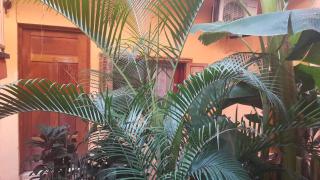 Hotel El Maltese - Lakefront - 5