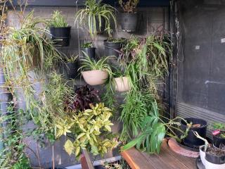 Hidden Gem with private walled garden - 5