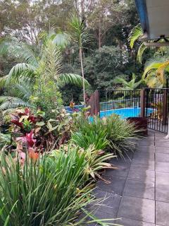 Spacious Serene Rainforest Retreat - 3