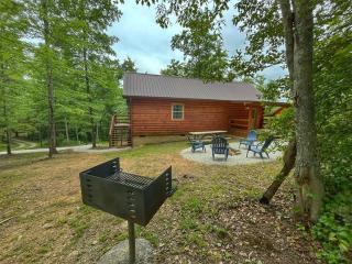 Pluggy's Place - Perfect Location - Outdoor Fire pit - 3