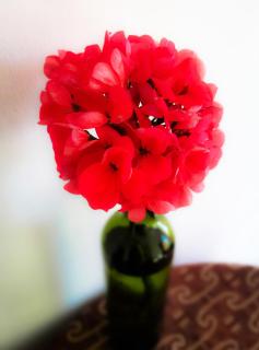 Lodge & Camping Suma Samawi - 1