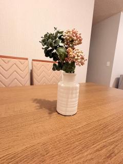 Apartment 10 minutes from the historic center - 8