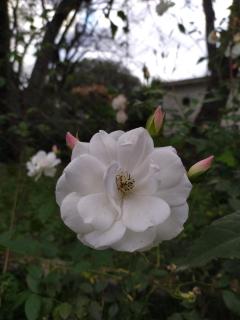 Casa 113 Hotel Salta - 5