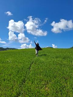 NATA homestay - Banggai - 8