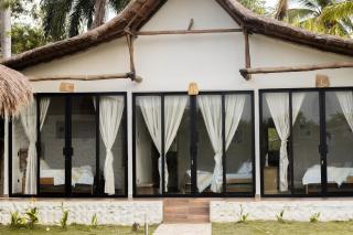 Coral De Fuego Isla Fuerte - 9