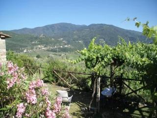 Belvilla by OYO Forno - Pelago - 7