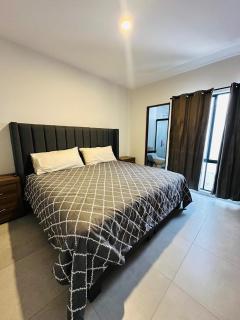 Framboyan 2 New Apartment en Pozos, 5 min to the Industrial Zone - 3