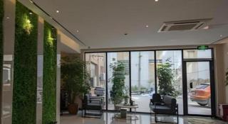 Borrman Hotel Hefei Guogou Plaza Sanli'an Metro Station - 3