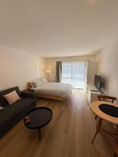 Relaxing Ellerslie Studio Apartment - 0