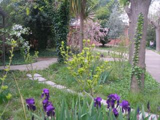 La Chaumiere - Agde - 0