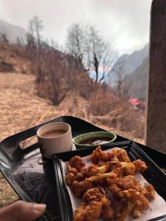 Metanoia Nest cottage & Homestay - 8