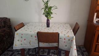 Bula Nest Homestay - 2