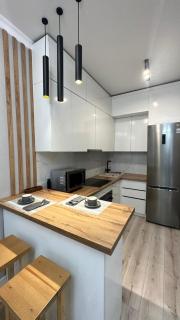 Апартамент возле триумфальной арки EXPO Mega Silk Wey Аэропорт - 2