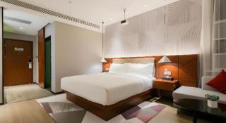 Borrman Hotel Xi'an North High-speed Railway Station - 6