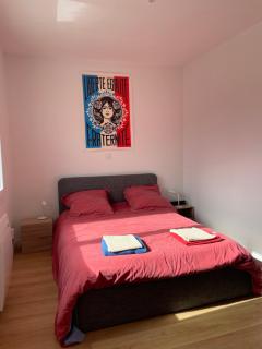 Pavillon avec jardin hyper calme en centre ville - 6