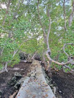 Camotes Island Villa - Exclusive - 9 mins to Beach - 2