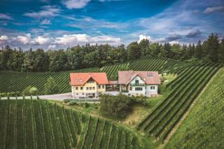 Weingut Gaube - 3