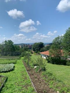 Villa Fiorentino - 4