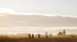 Stables Lodge Backpackers - 6