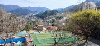 Green Bee Pension - 5