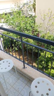 Lemon Garden - 2