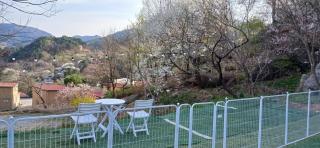 Green Bee Pension - 6