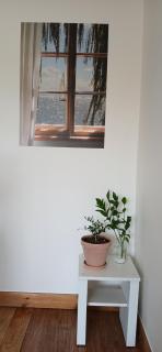 Green Bee Pension - 5